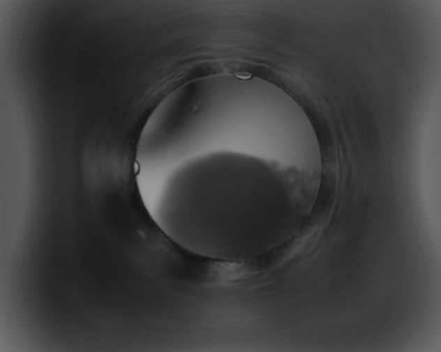 X0000100420139200806061411