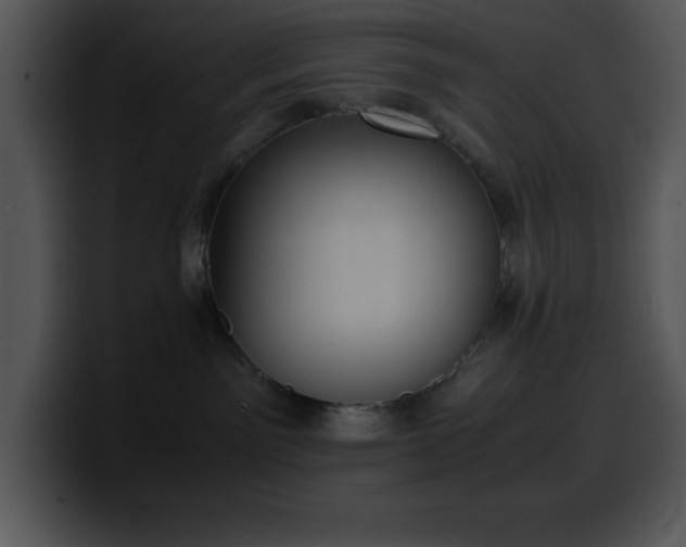 X0000100420141200806061411