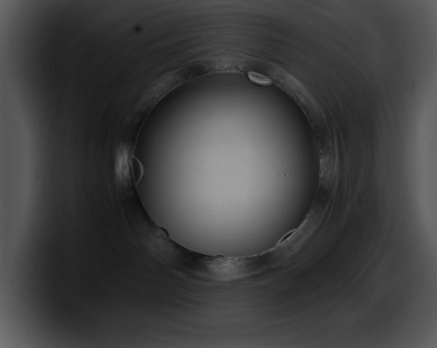 X0000100420142200806061411