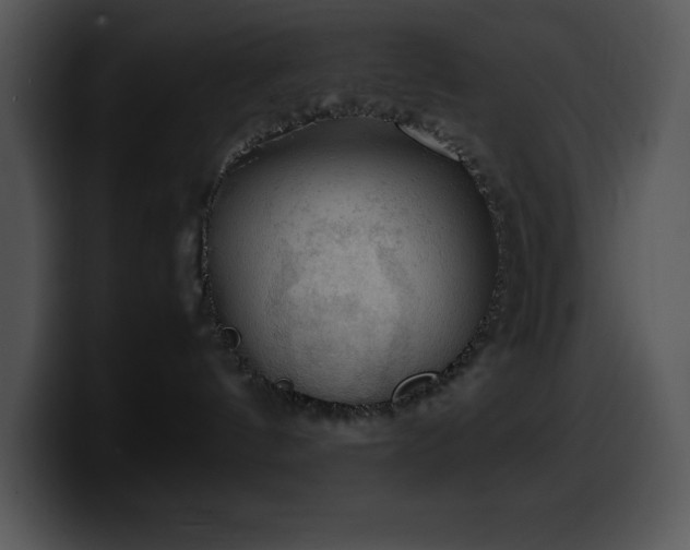 X0000100420144200806061411