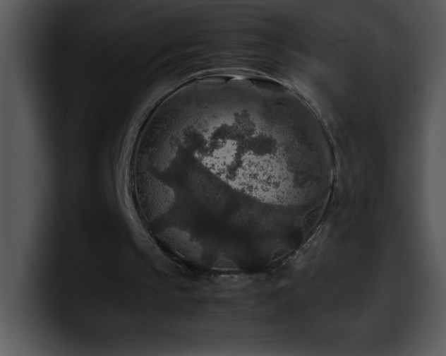 X0000100420145200806061410