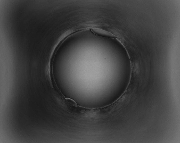 X0000100420148200806061410