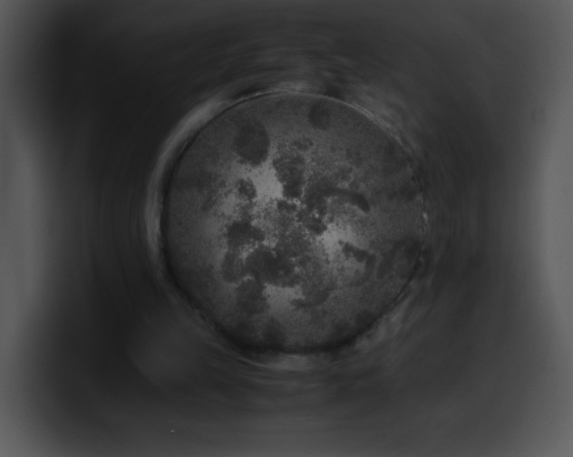 X0000100420149200806061410