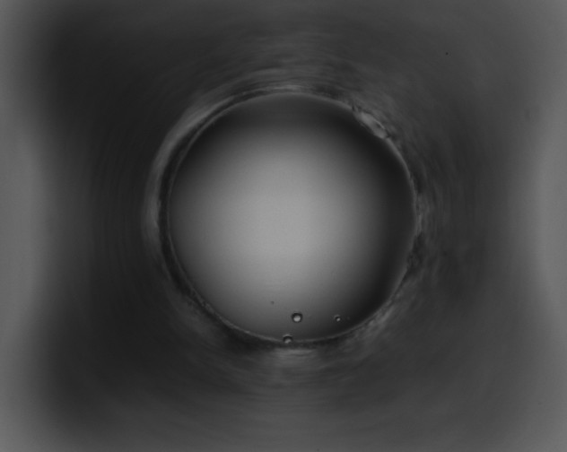 X0000100420150200806061410