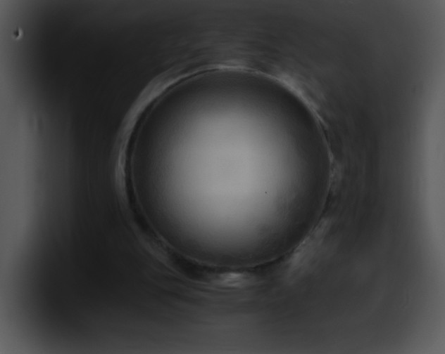 X0000100420151200806061410