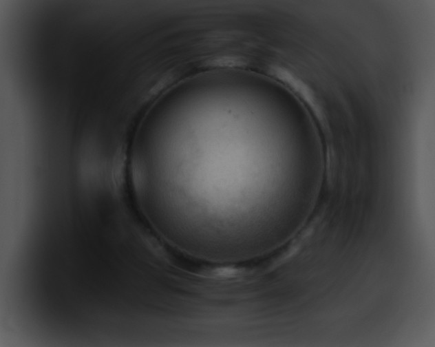 X0000100420153200806061410