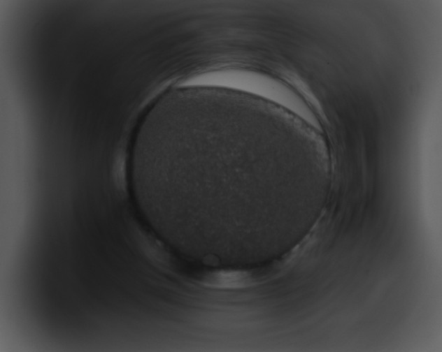 X0000100420154200806061410
