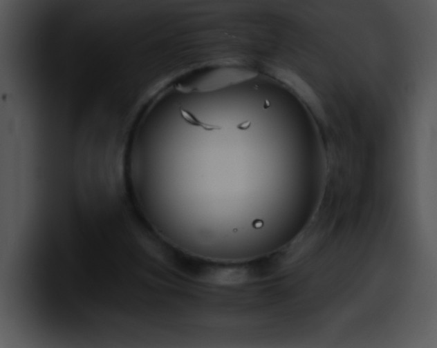X0000100420155200806061410