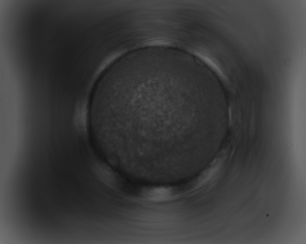 X0000100420156200806061410