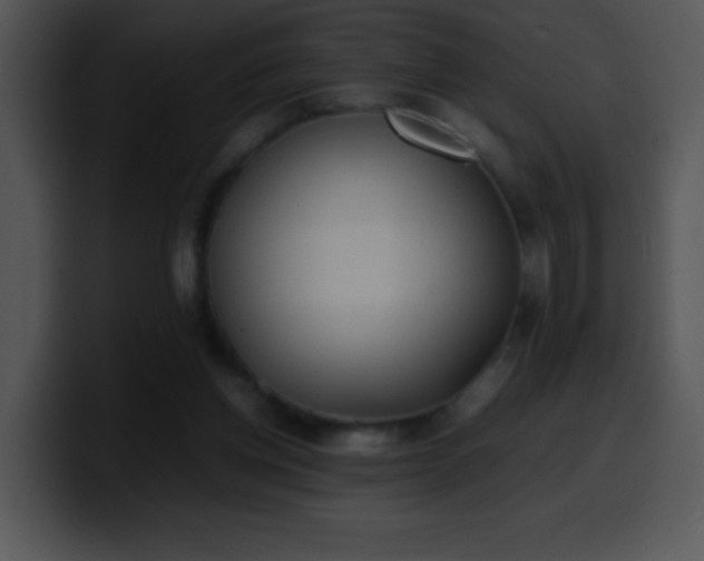 X0000100420158200806061410