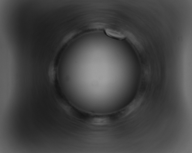 X0000100420160200806061410