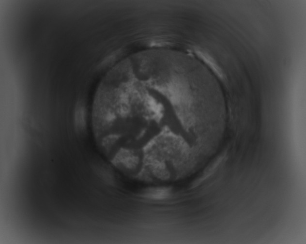 X0000100420161200806061410