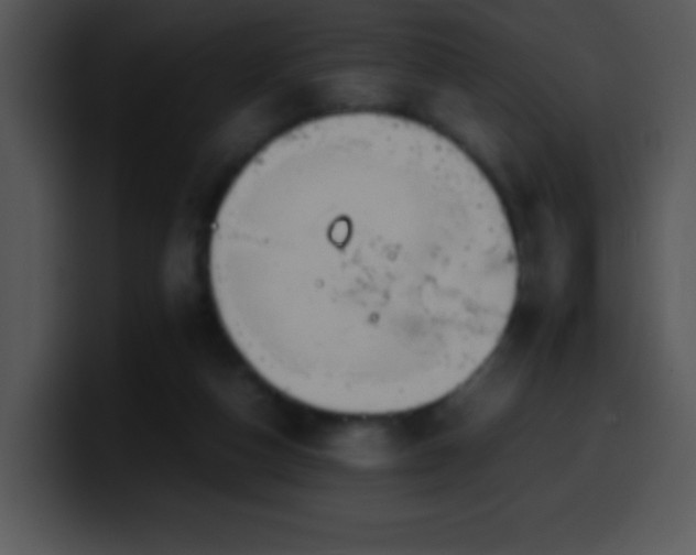 X0000100420162200806061410