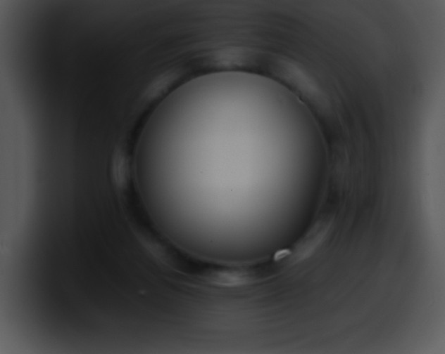 X0000100420164200806061410