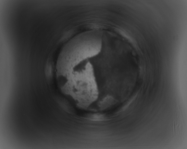 X0000100420165200806061410