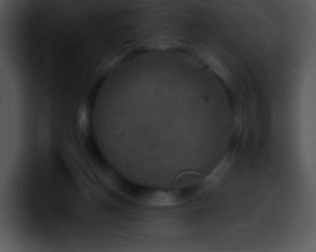 X0000100420166200806061410
