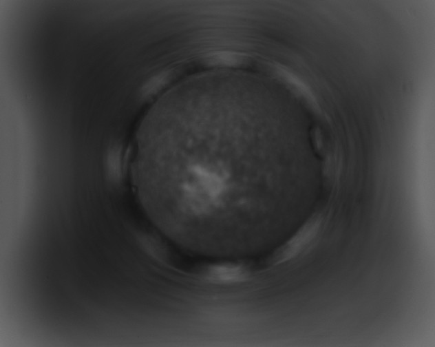 X0000100420168200806061411