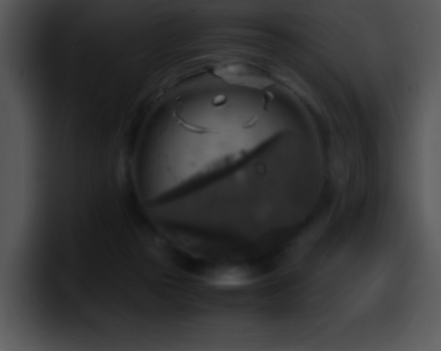 X0000100420169200806061411