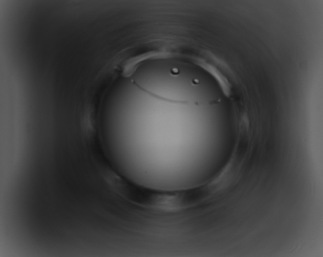 X0000100420170200806061411
