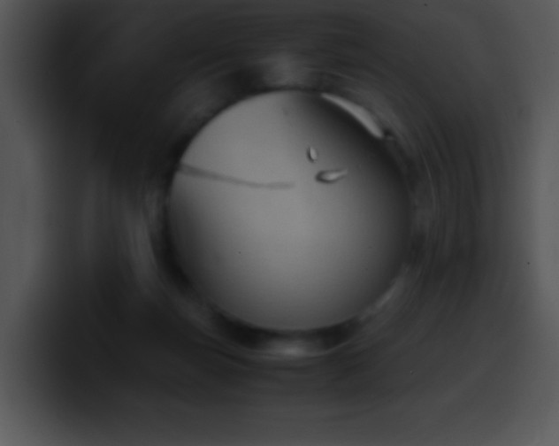 X0000100420171200806061411