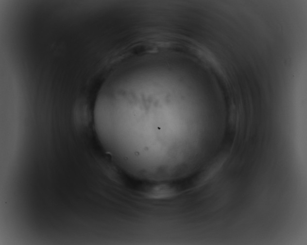 X0000100420173200806061411