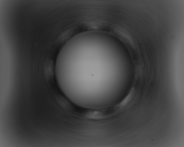 X0000100420174200806061411