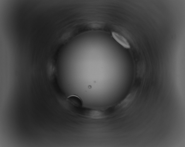 X0000100420176200806061411
