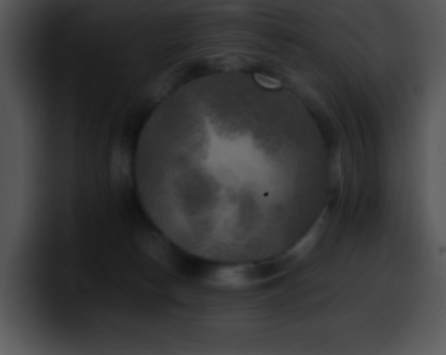 X0000100420178200806061411