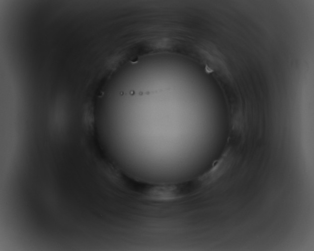 X0000100420179200806061411
