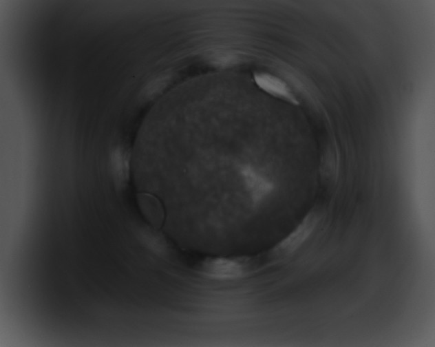 X0000100420180200806061411