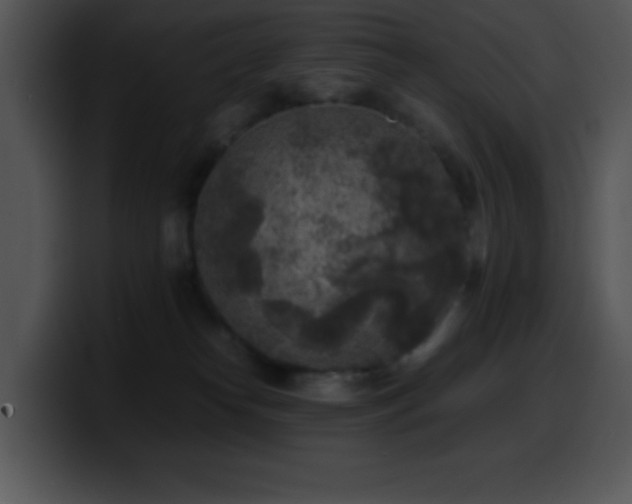 X0000100420182200806061411