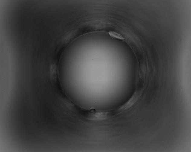 X0000100420184200806061411