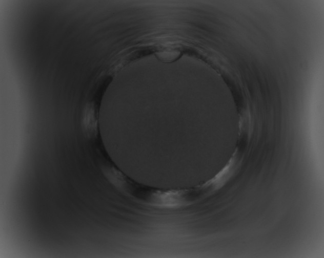 X0000100420186200806061411
