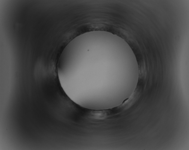 X0000100420187200806061411