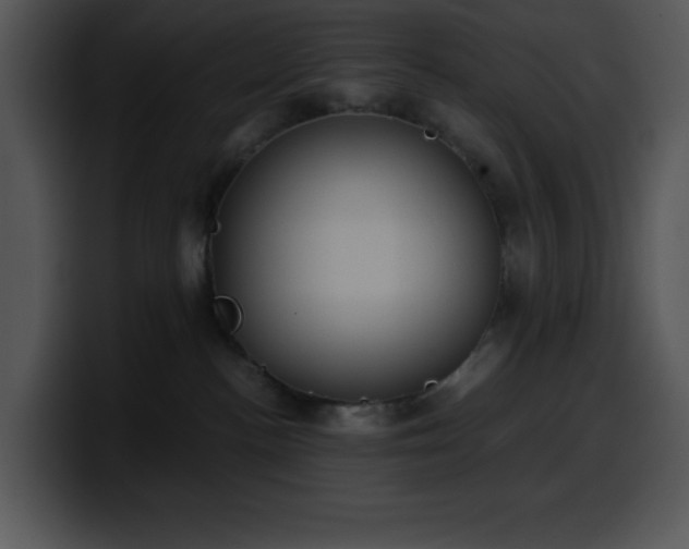 X0000100420188200806061411