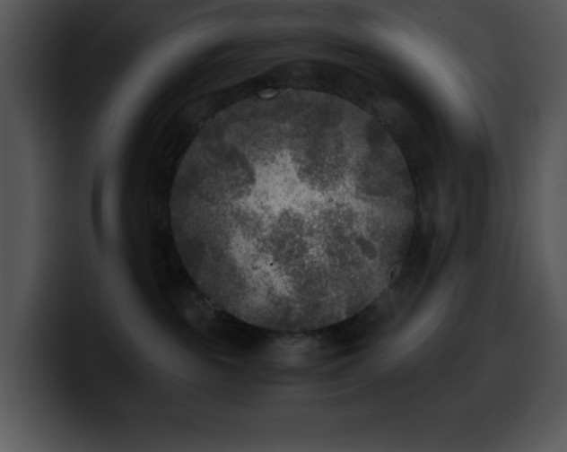 X0000100420189200806061411