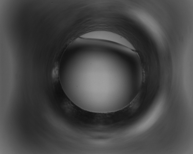X0000100420190200806061411