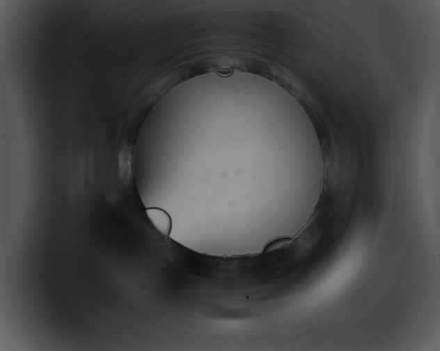 X0000100420191200806061411