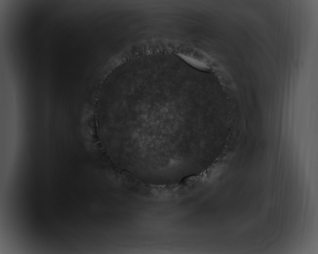 X0000100420192200806061411
