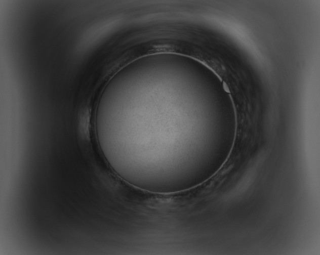 X0000100420194200806061410