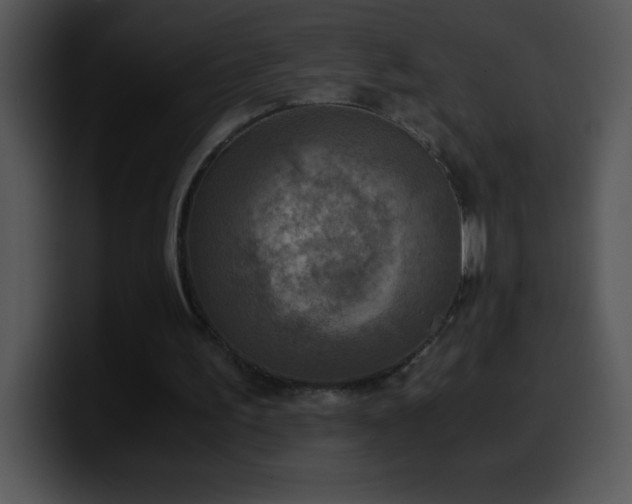 X0000100420195200806061410