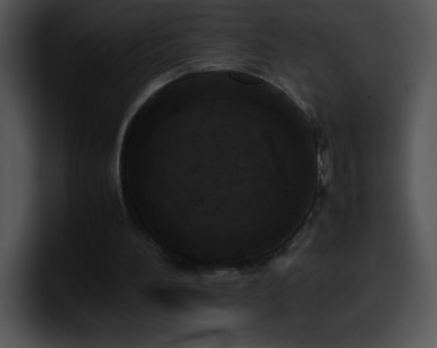 X0000100420196200806061410