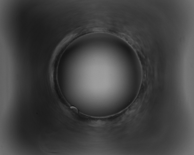 X0000100420197200806061410