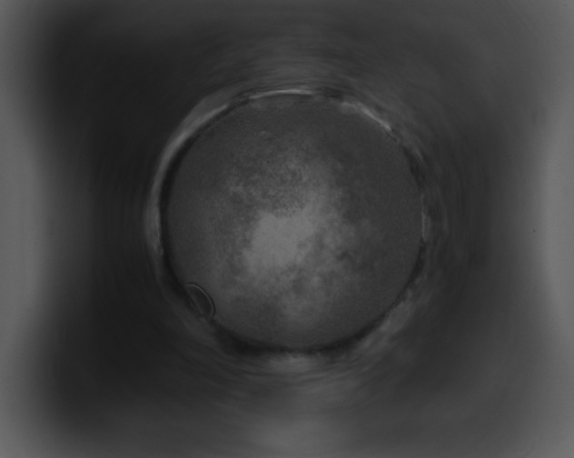 X0000100420198200806061410