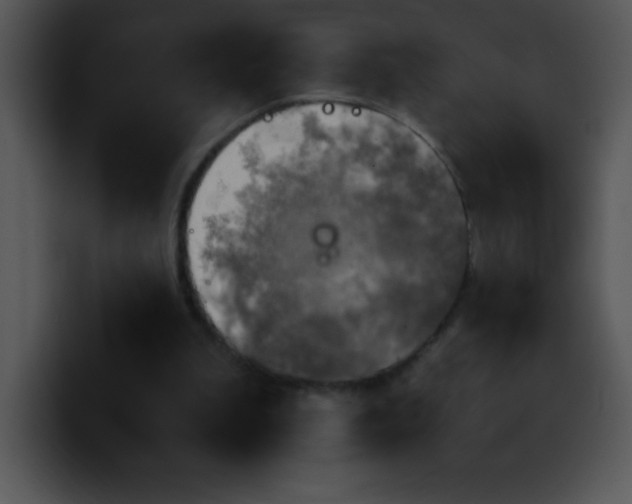 X0000100420199200806061410