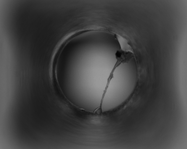 X0000100420200200806061410