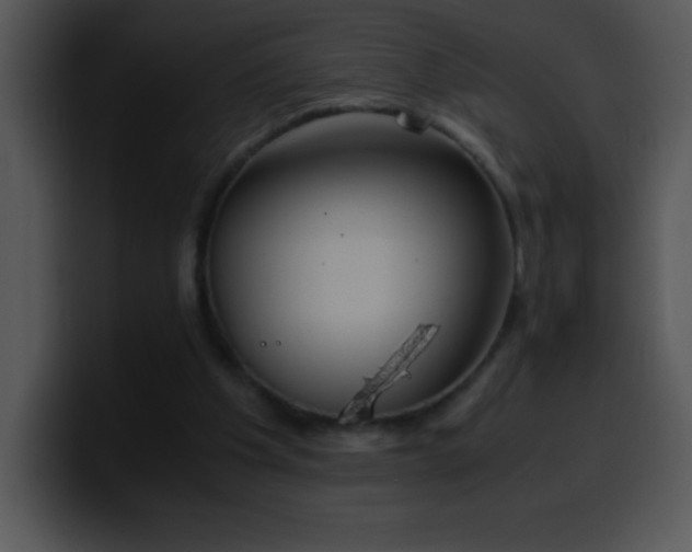 X0000100420201200806061410