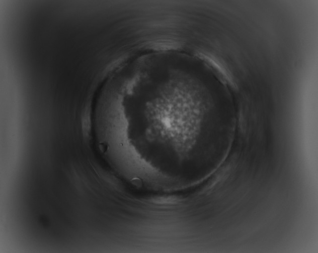 X0000100420202200806061410