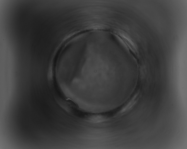 X0000100420203200806061410