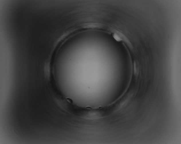 X0000100420204200806061410